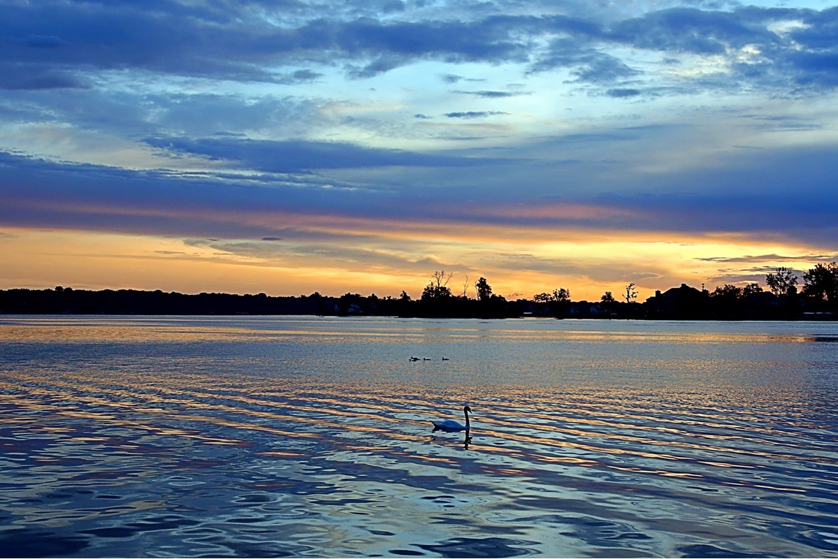 Contact Us Geist Harbours Property Owners Association