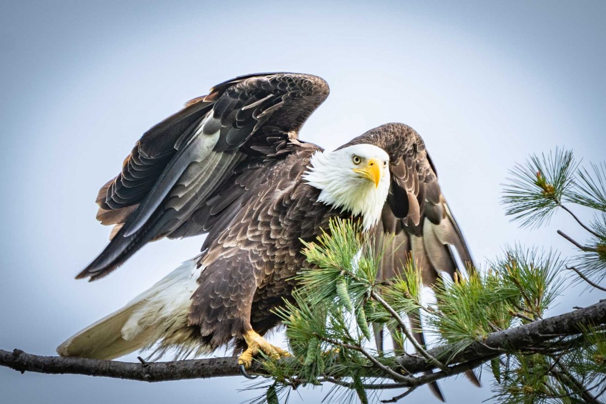 Geist Harbours Property Owners Association Geist Harbours Property